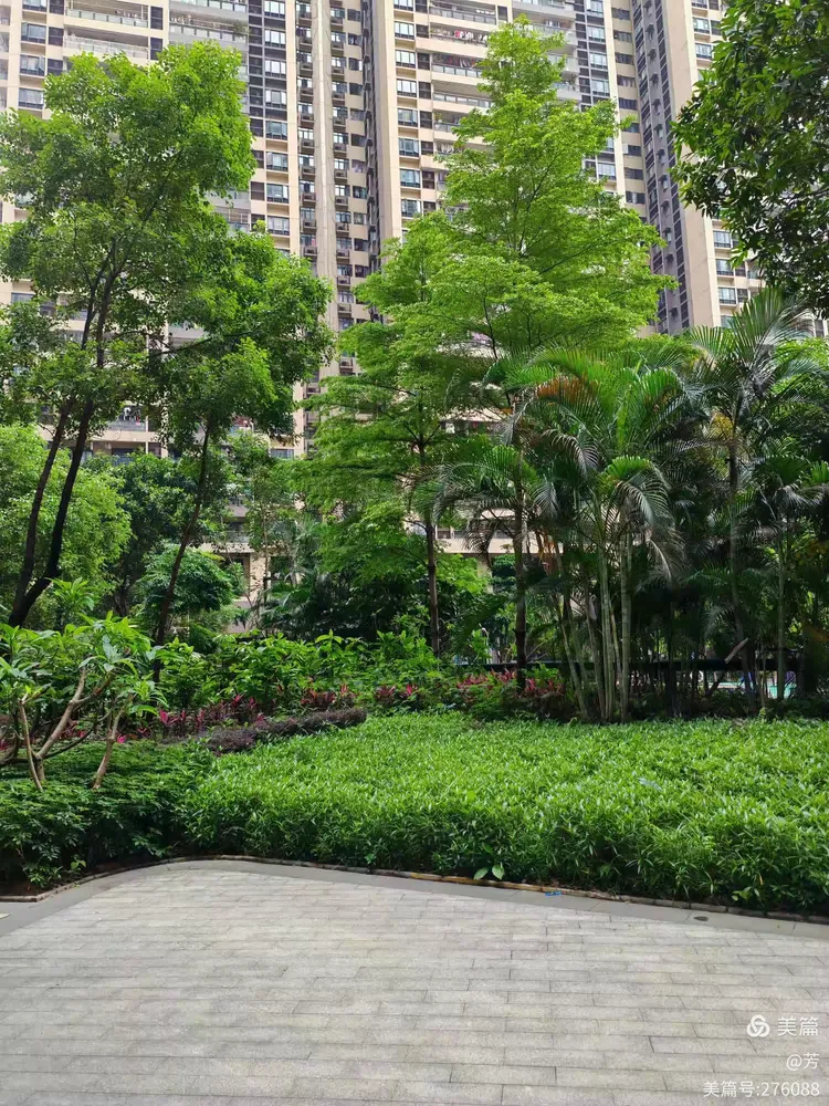 广州行一一逛杨箕村